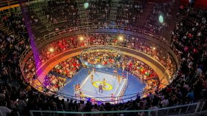 Arena Coliseo from the top